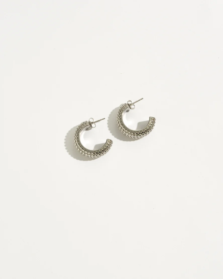 Sylwen Earrings Silver